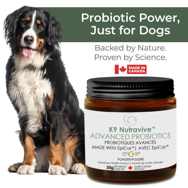 Advanced Probiotics - Image 11
