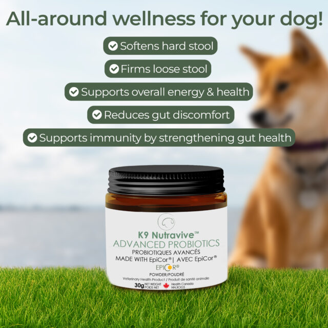 Advanced Probiotics - Image 6