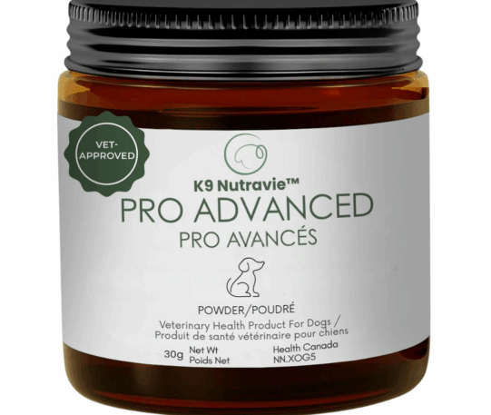 Advanced Probiotics Powder For Dogs.