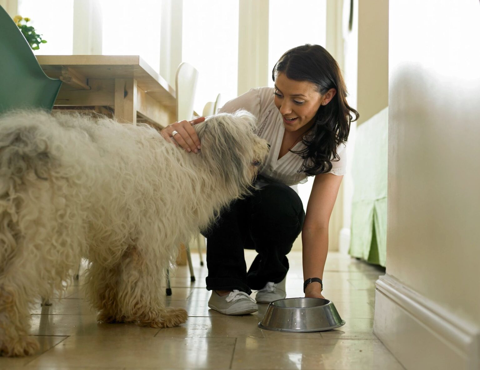 Dog eating K9 Nutravie's advanced probiotics on food