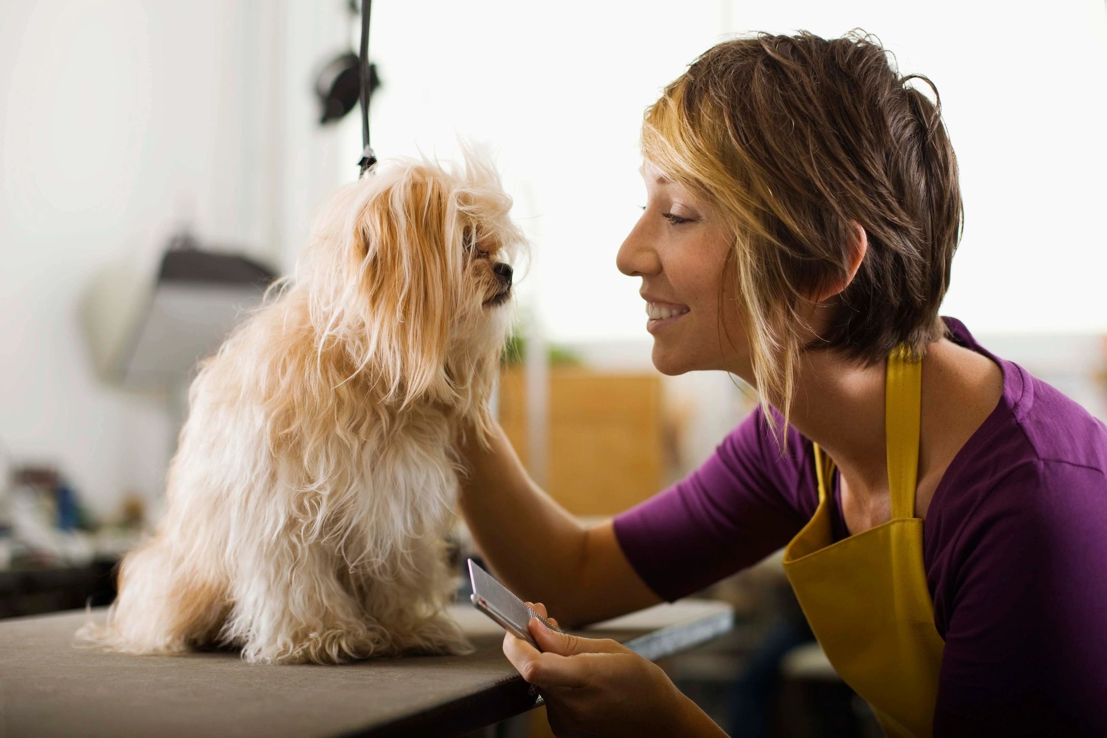 A dog is calm after eating calming supplement